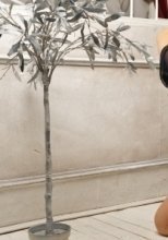 Индивидуалка: Элис