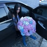 Индивидуалка: Дана