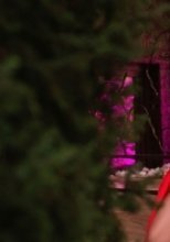 Индивидуалка: Мила