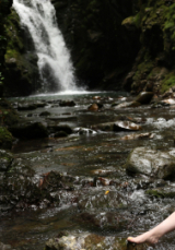 Индивидуалка: Лилия