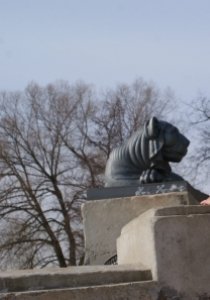 Индивидуалка: Оливия