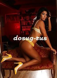 Индивидуалка: Лиса